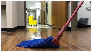 Office Cleaner