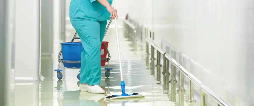 Hospital : Cleaners or Housekeepers