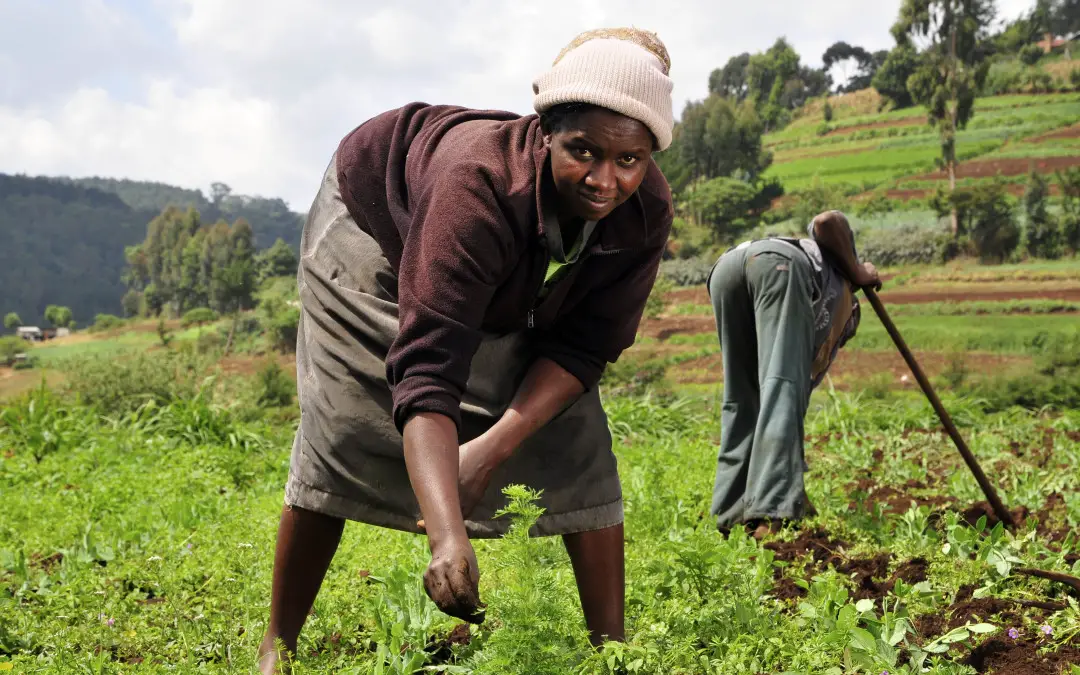 Farm Workers