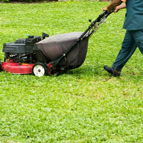 Garden and Ground cleaner